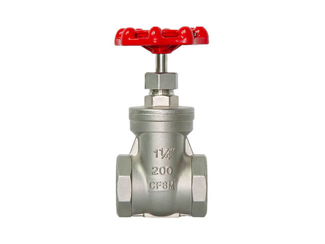 Stainless Steel Threaded Gate Valve