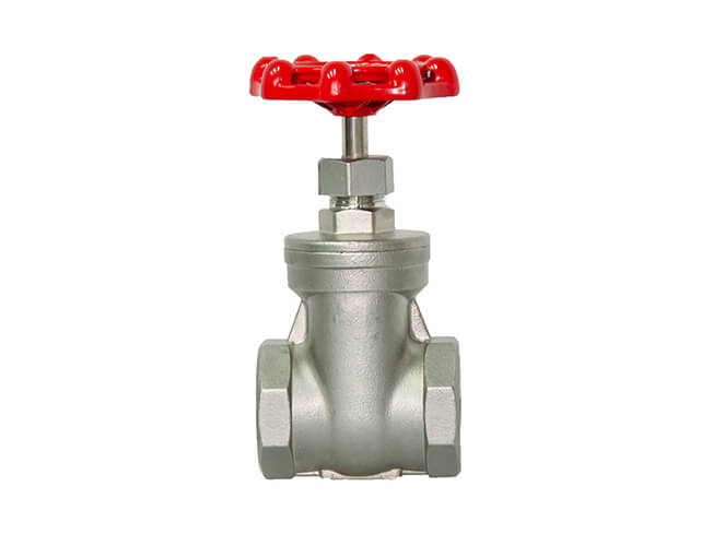 Stainless Steel Threaded Gate Valve