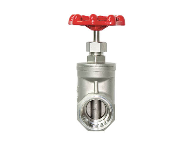 Stainless Steel Threaded Gate Valve