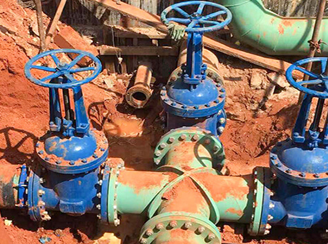 resilient gate valve