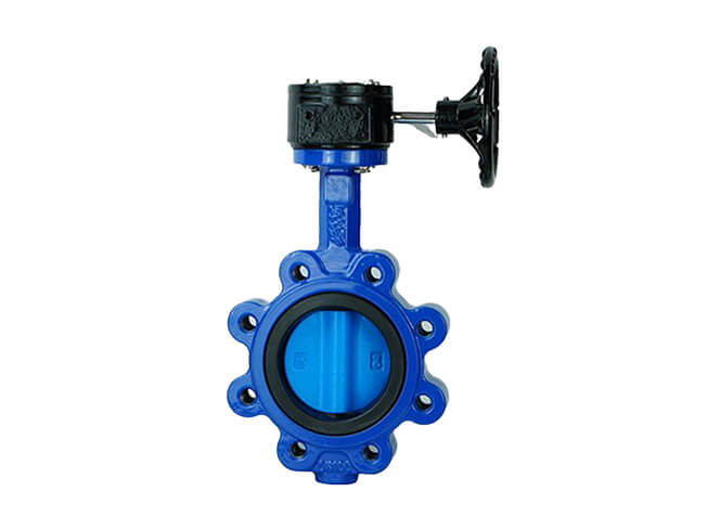 Lug butterfly valve