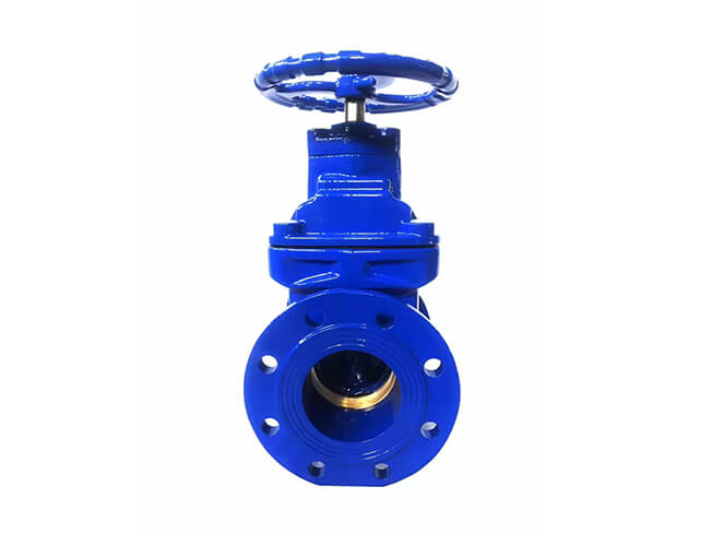 hard seal gate valve