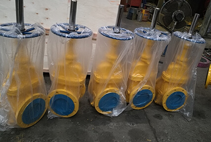 Slab gate valves