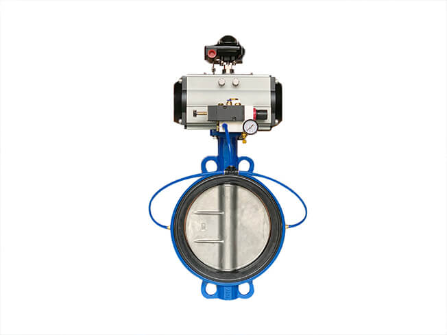 Inflatable Butterfly Valve