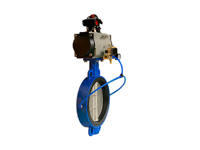 Inflatable Butterfly Valve