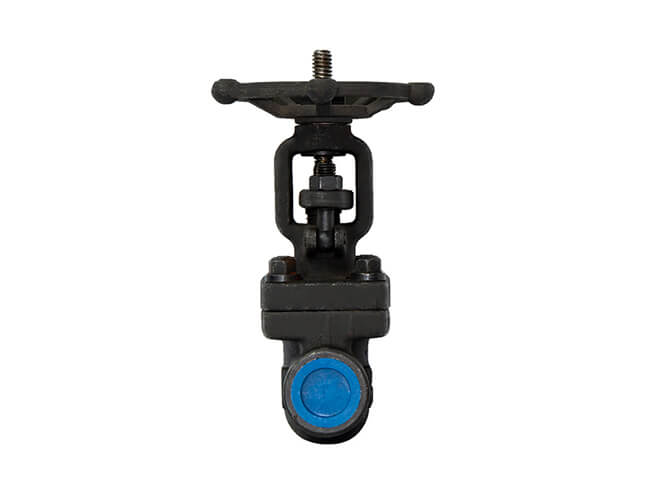 Rising stem Forged steel gate valve