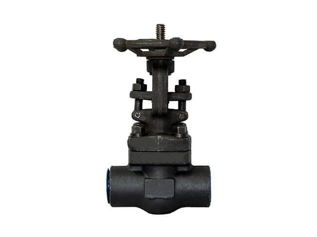 Rising stem Forged steel gate valve