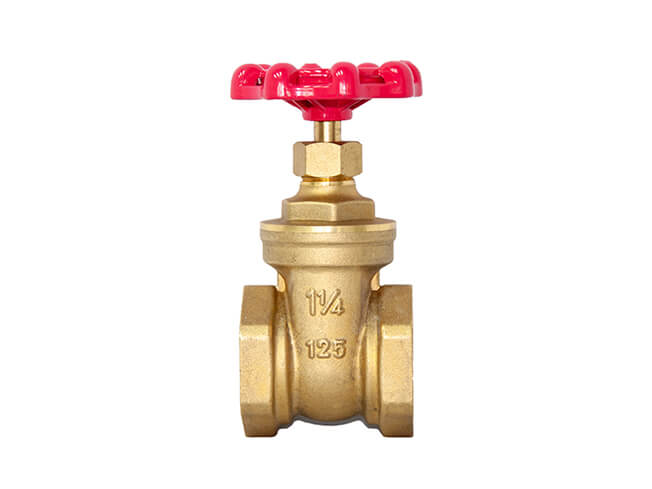 Brass Threaded Gate Valve
