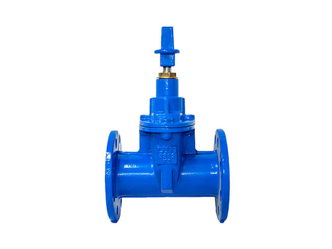 Underground cap soft seal gate valve