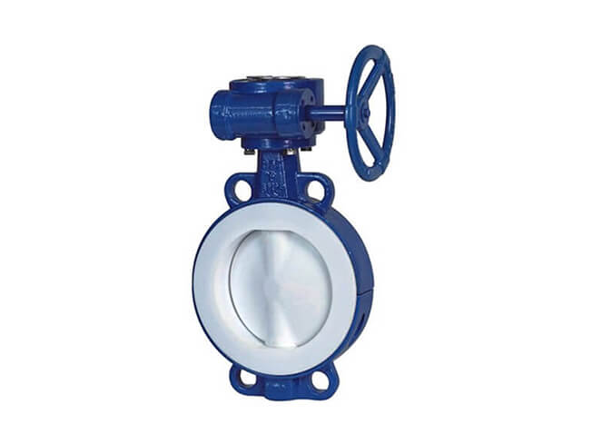 Wafer lined fluorine butterfly valve