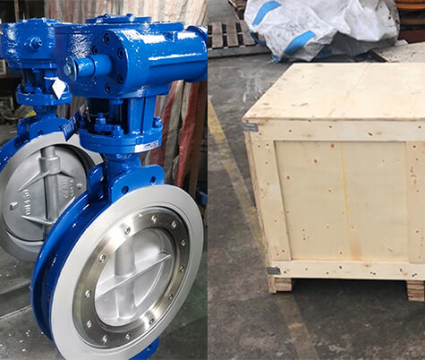 Inflatable Butterfly Valve
