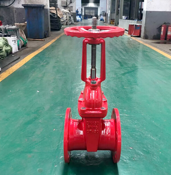 gate valve