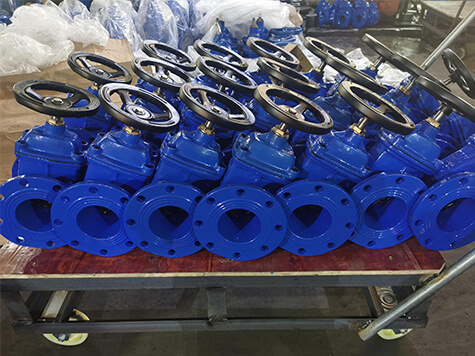 resilient gate valve