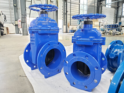 resilient gate valve