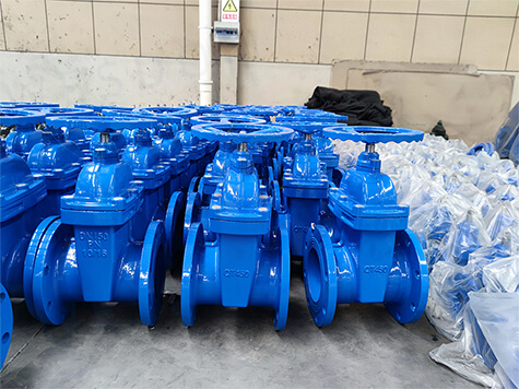 resilient gate valve