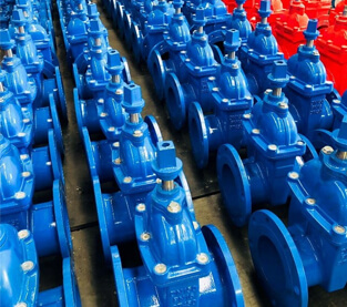 underground cap gate valve