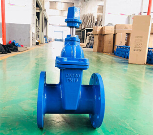 underground cap gate valve