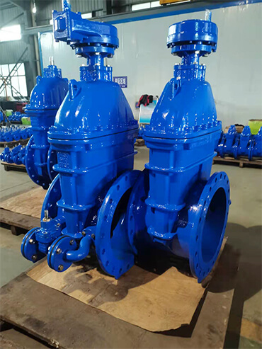 DN450 Resilient Seated Gate Valve6