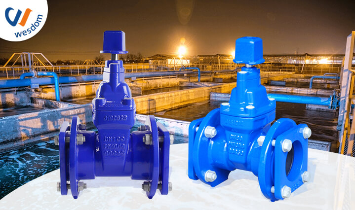 Mechanical joint Resilient Seated Gate Valve ts