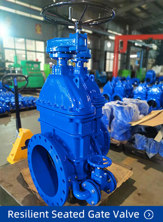 DN450 Resilient Seated Gate Valve