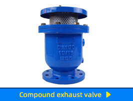 Compound exhaust valve