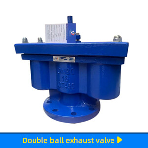 Double ball exhaust valve1