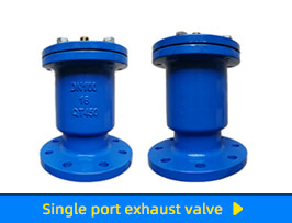 Single port exhaust valve