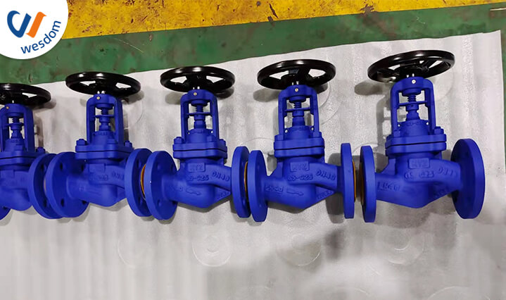 globe valve installation