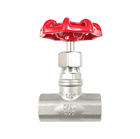 globe valve