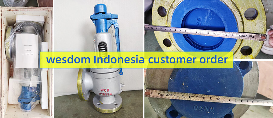 safety valve wesdom