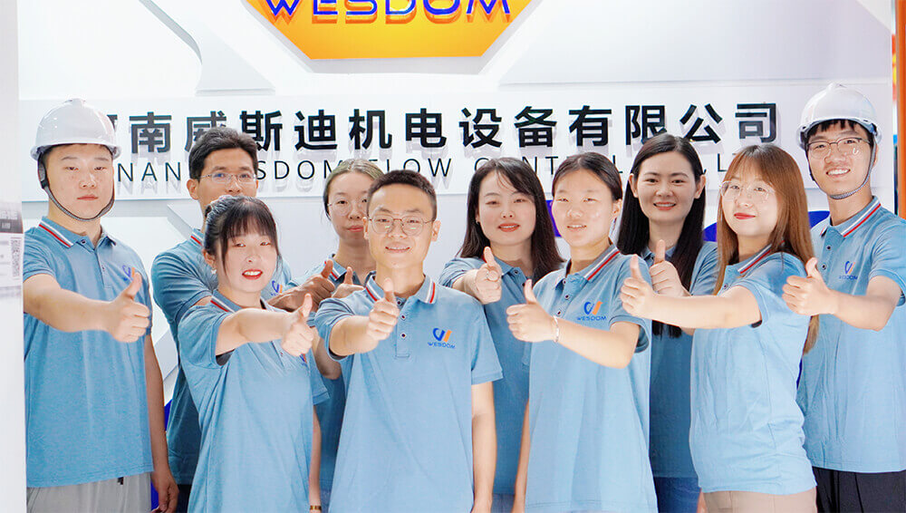 wesdom group