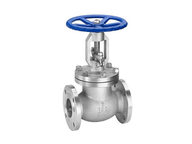 Boiler globe valve