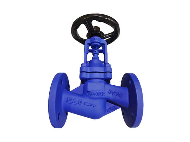 bellows globe valve