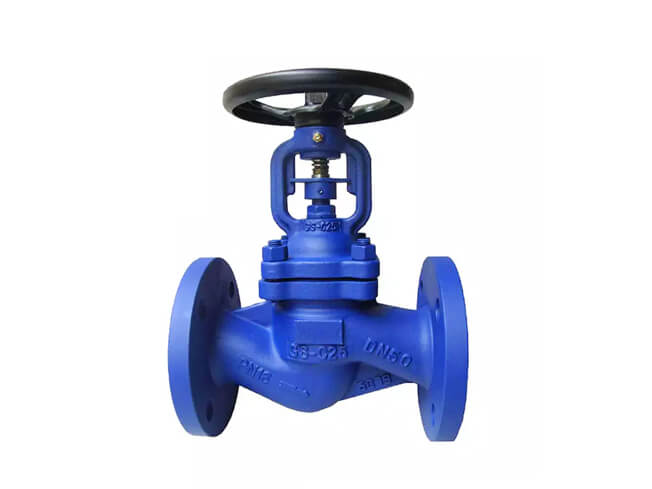 bellows globe valve