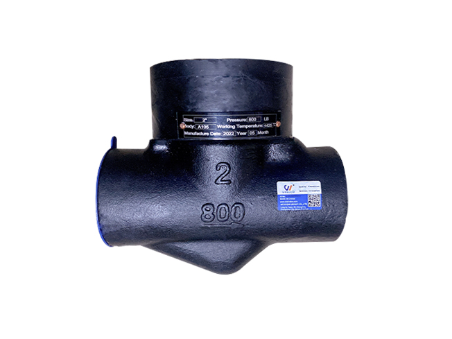 Forged steel thread check valve