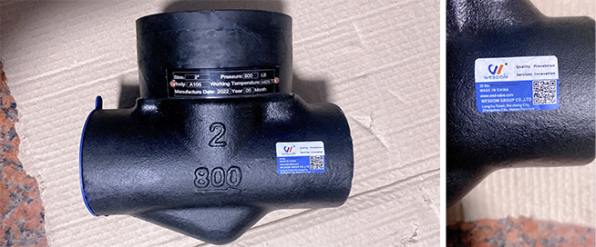 Forged steel thread check valve1