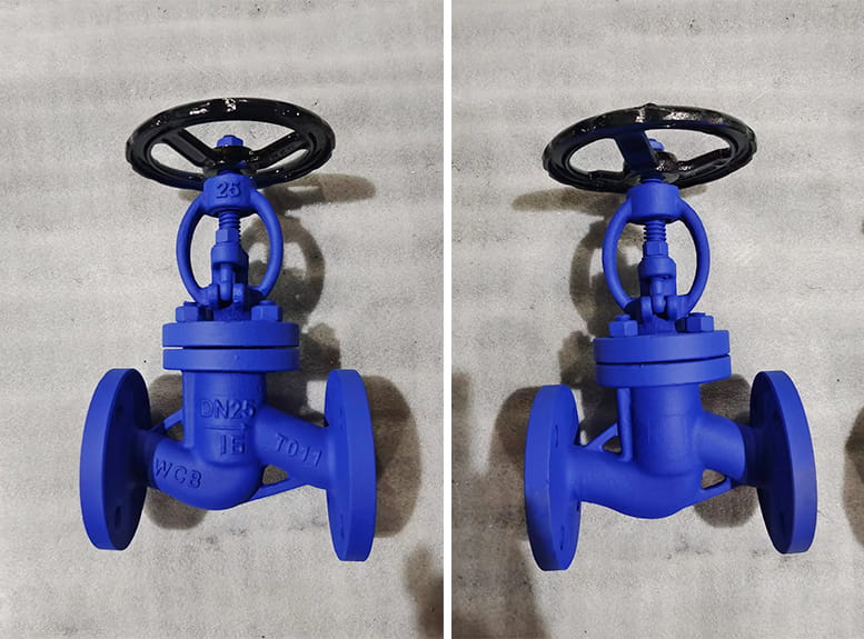 WCB globe valve