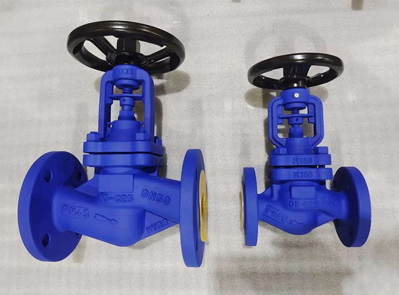 bellows globe valve