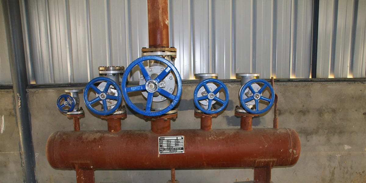 boiler globe valve