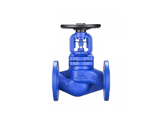 globe valve