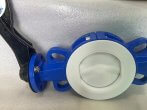fluorine lined butterfly valve