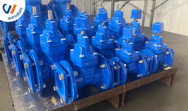 mechanical joint gate valve