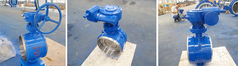 Metal hard seal butterfly valve