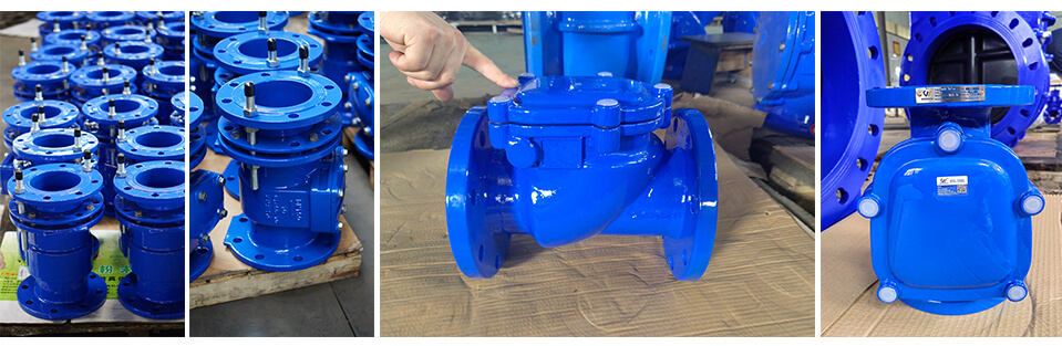 Swing check valve