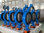 valves of wesdom