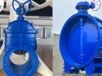 butterfly valve and gate valve