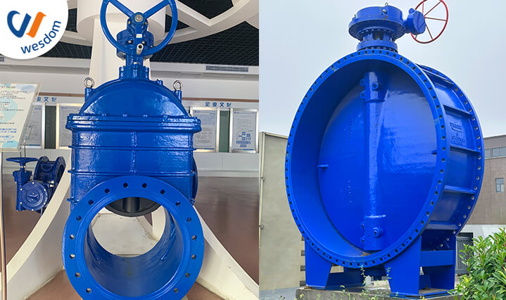 butterfly valve and gate valve