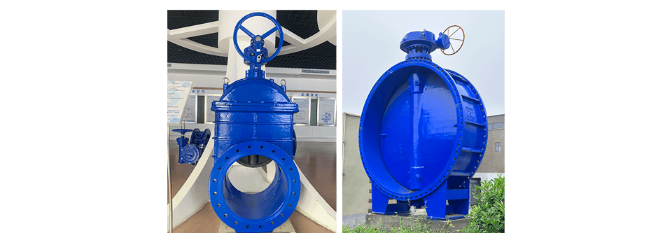 butterfly valve and gate valve