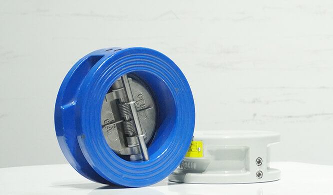 dual plate check valve