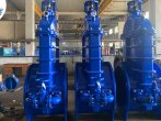 gate valve of wesdom